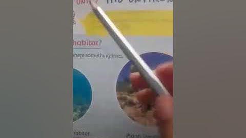 III - SCI - Unit 5: Environment (5.1 Pg:30)