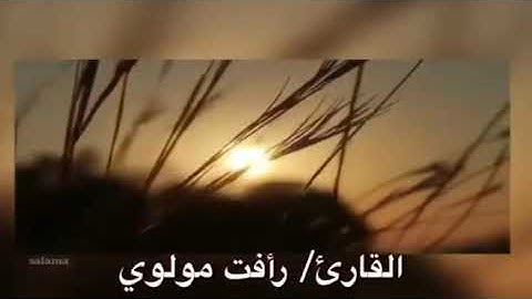 تلاوة خاشعة لخواتيم سورة الزمر | القارئ/ رأفت مولوي