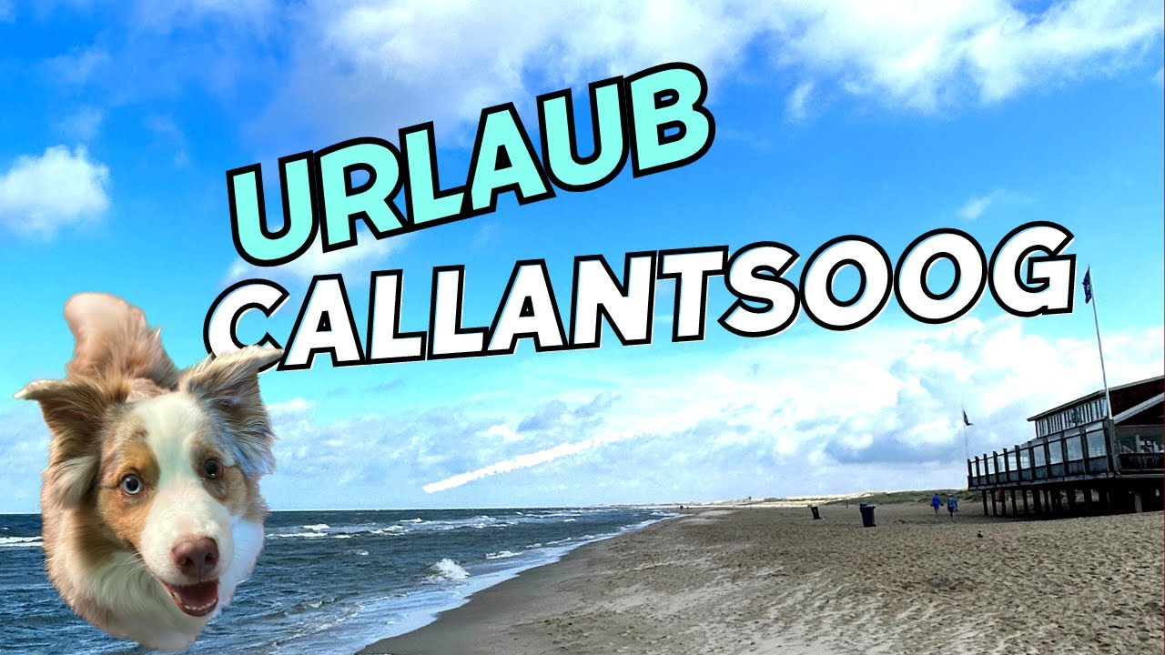 Urlaub in Callantsoog - Nordholland - Vlog 11