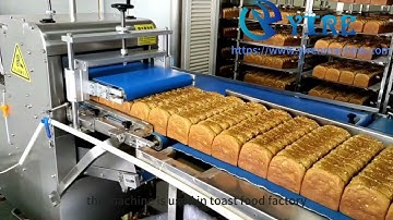 Bread processing Factory- Automated bread slicing production line with high technology machines