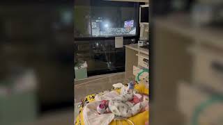 Baby 'waves' back to football fans from neonatal ICU