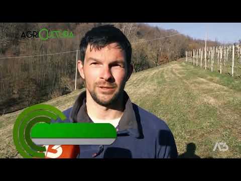 AGRICULTURA | 23/02/2025