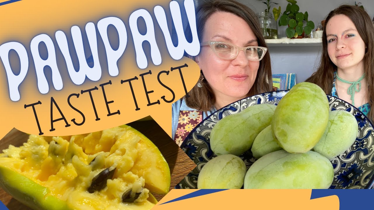 What Do Pawpaws Really Taste Like? We Taste Test Them For Ya YouTube