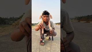 Best Performance earphones vs Earmuffs 🐰 unboxing