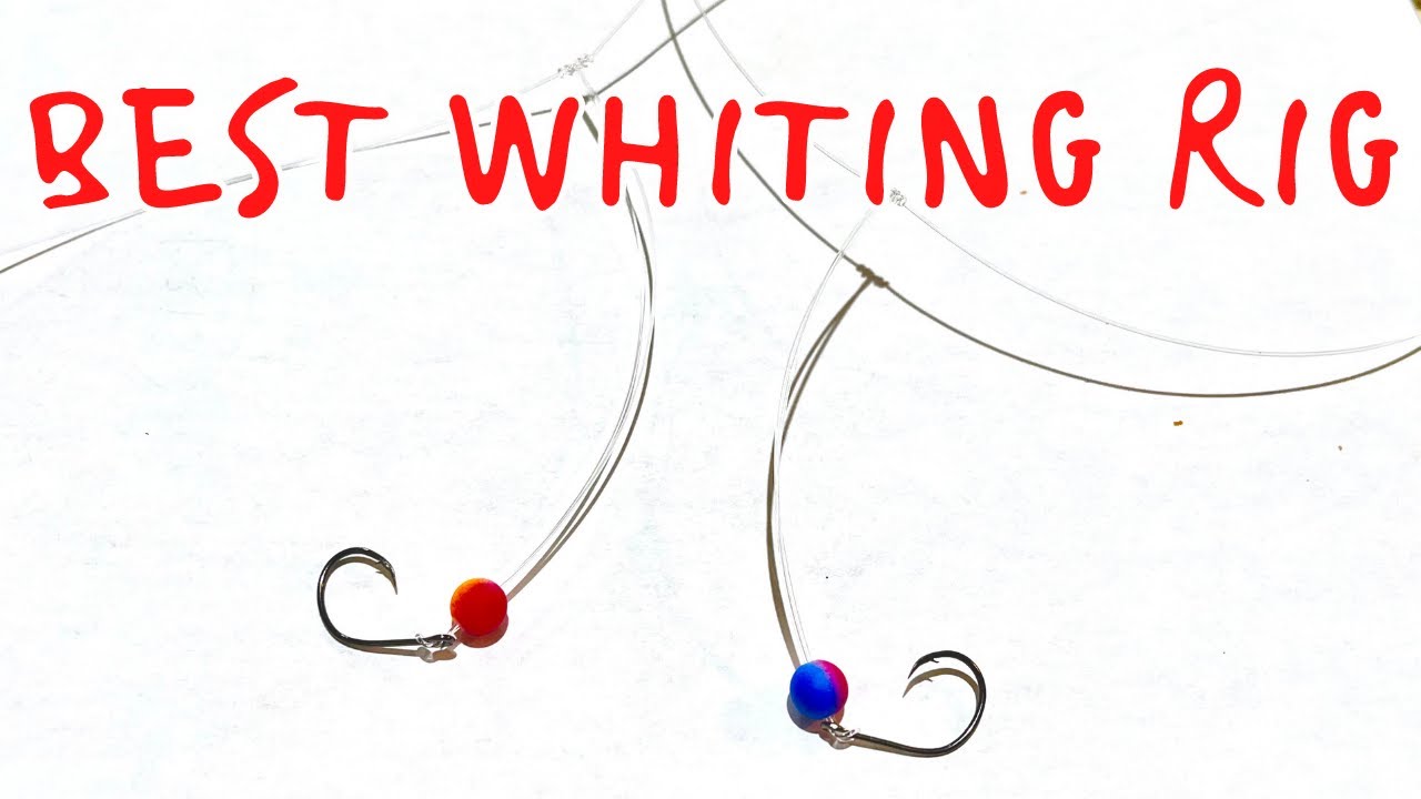 HOW to Tie the BEST Whiting Rig! 