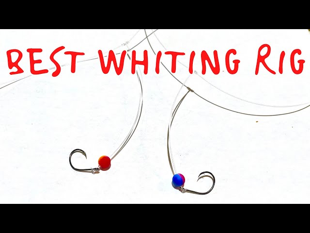 HOW to Tie the BEST Whiting Rig! 