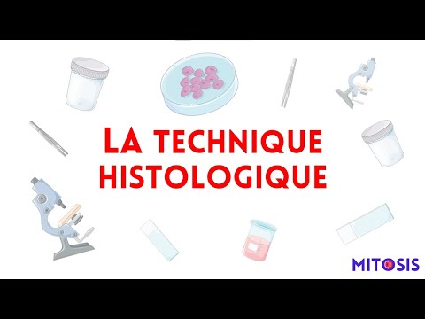 Vidéo: Qu'est-ce que le montage en histologie?