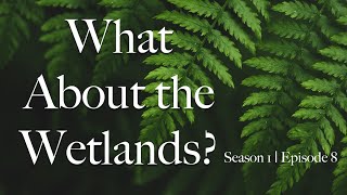 What About the Wetlands? S1 Ep 08