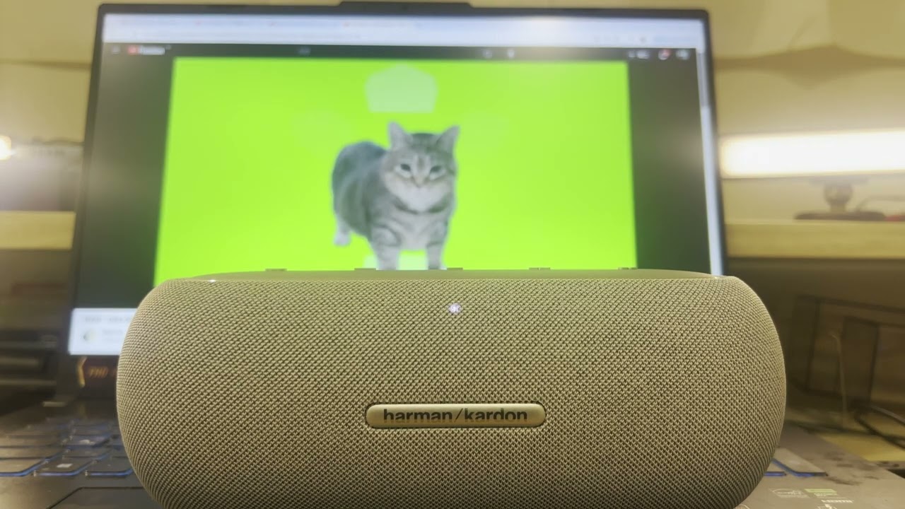 Harman Kardon LUNA   藍芽喇叭Unboxing測試單雙喇叭(OIIA OIIA)spinning cat