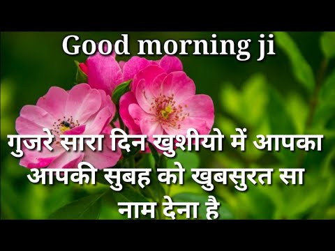 Gujre Sara Din Khushiyo Me Aapka | Good Morning Shayari | Good Morning Video | Good Morning Messege
