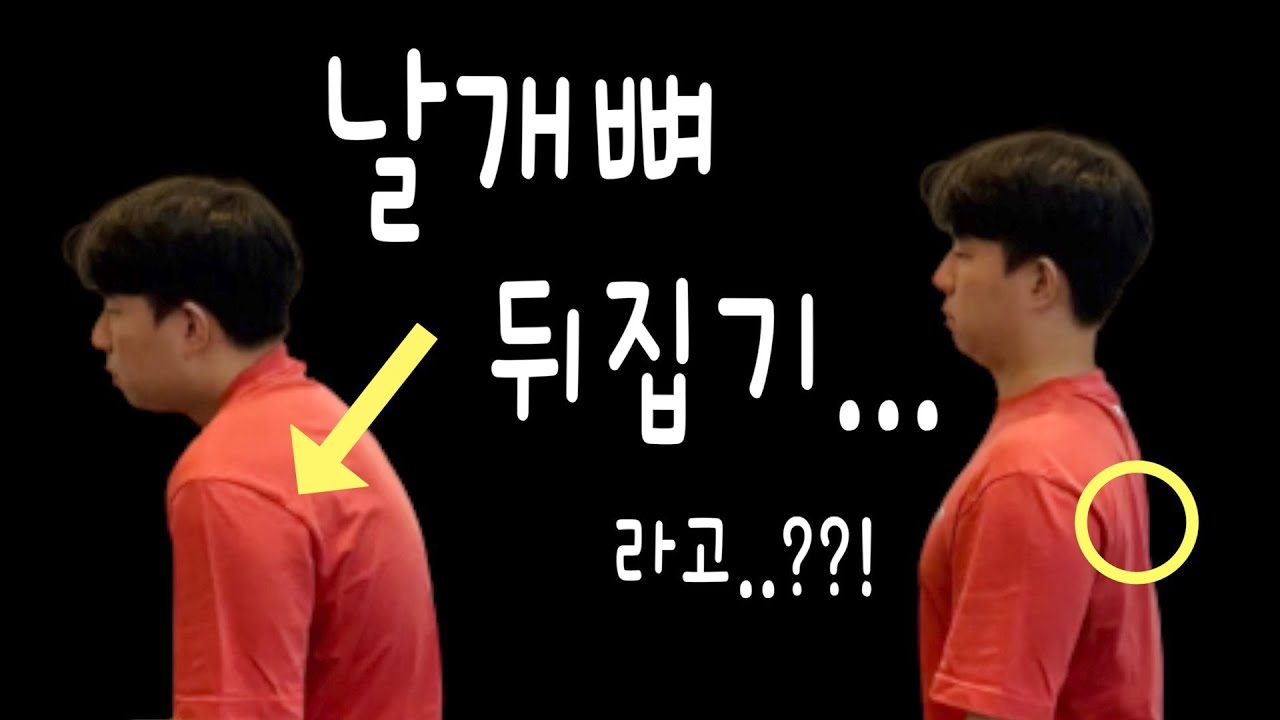 라운드숄더나 어깨통증이 있는 분들이 제일 이해 못하는 동작, 날개뼈 뒤집기‼️