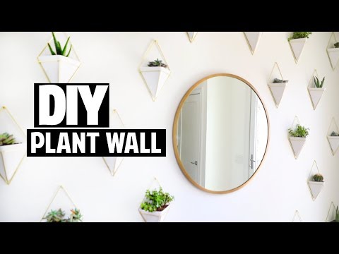 How To Make You Succulents Wall Hanging For Bathroom?