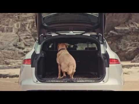 Jaguar F-PACE: Surf’s Pup