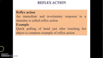 class 8 science lecture#9 Dec (reflex action)