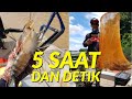 Teknik 5 Saat dan 5 Detik Untuk Mancing Udang Galah