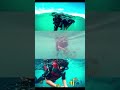 Spot Snorkeling Terbaik di Dunia