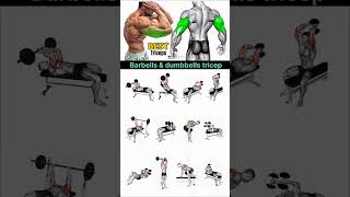 Triceps Exercises with Barbells &amp; Dumbbells 💪🔥 | Build Bigger Arms Fast