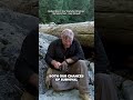 Survivorman | Surviving on Rice Root and Seaweed | Les Stroud
