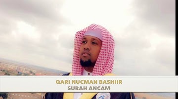 الحزب 14 إنما يستجيب الذين يسمعون تلاوة خاشعة للقارئ نعمان بشير من سورة الأنعام