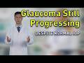 Glaucoma Still Progressing Despite Normal IOP The Case for Neuroprotection EBM Rounds