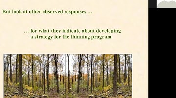 Forest Stand Thinning - Some Concepts and Methods