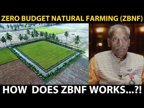 वीडियो: प्राकृतिक कृषि तकनीक