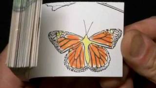 Fliptomania Flipbook Kits: The Flipbooks!