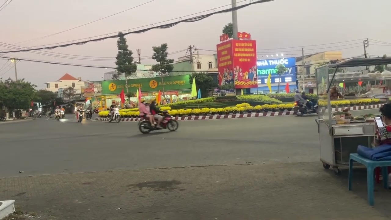 Chuyến đi ngắm hoàng hôn trên quê hương xứ dừa