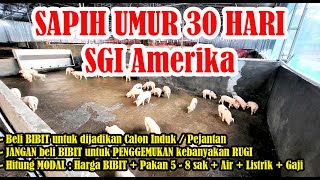 SAPIH USIA 30 Hari