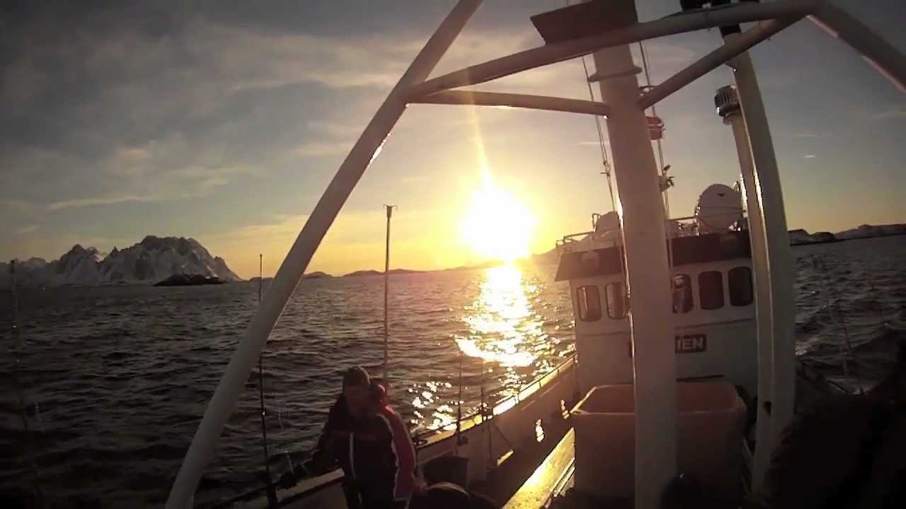 Skreifiske Skrova 2013