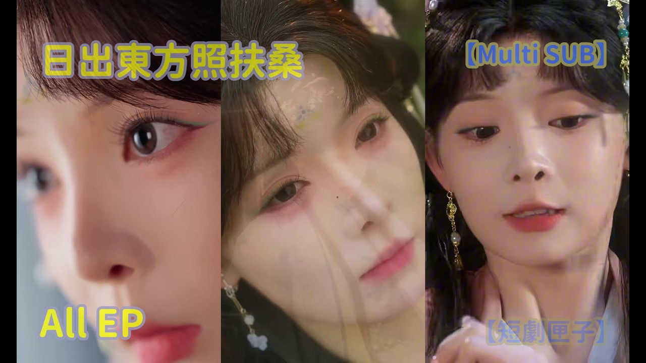 贅婿逆襲：日出東方全集