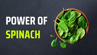 15 Reasons Why Spinach Is Called A Superfood | Health Benefits Of Spinach
