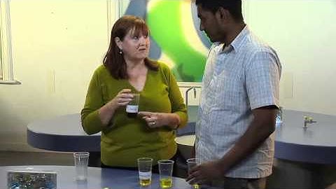 Primary Science Demonstrations: Racing Liquids