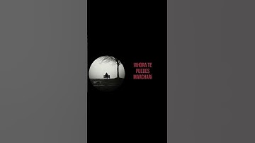 Thumbnail of AHORA TE PUEDES MARCHAR - LUIS MIGUEL                             #musica #lyrics #lyricvideo #fyp