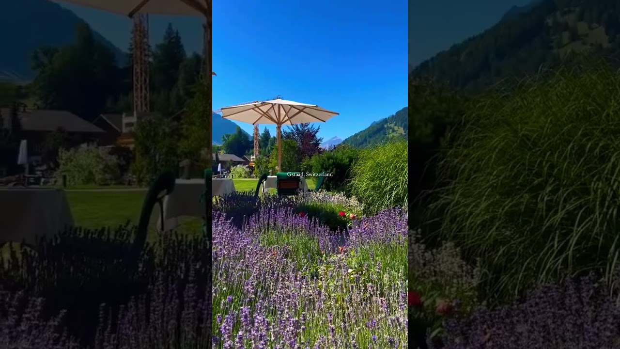 Beautiful Gstaad in summer🌞🏖️