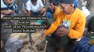 “Suasana Pasar Burung Tradisional Jawa di Depok Solo Hari Ini, Obral Burung Gunung Murah”
