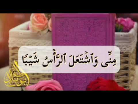 دقائق قرآنيةالآية ٤ مريم قال رب إني وهن العظم مني واشتعل الرأس شيبا ولم أكن الأستاذ طه ابو بلال