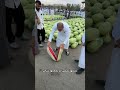 When The Vendor Accidentally Offered A Watermelon To Everyone 