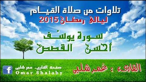 سورة يوسُف من صلاة قيام رمضان تلاوة القارىء عمر شلبى