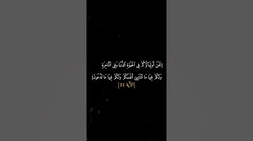 سورة فصلت القارئ إسلام صبحي