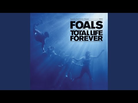 Blue Blood - Foals
