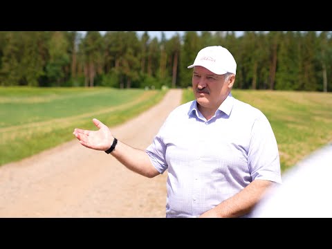 Лукашенко: Это чудо! Я таких полей озимого ячменя никогда не видел!