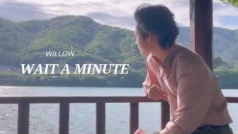 Willow Smith - WAIT A MINUTE [ KIM TAEHYUNG PLAYlIST]