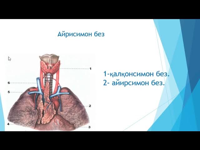 Seks striptiz klubini tomosha qiling