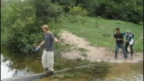 Volunteer Abroad: Ecotourism Volunteer experiences with Openmind Projects