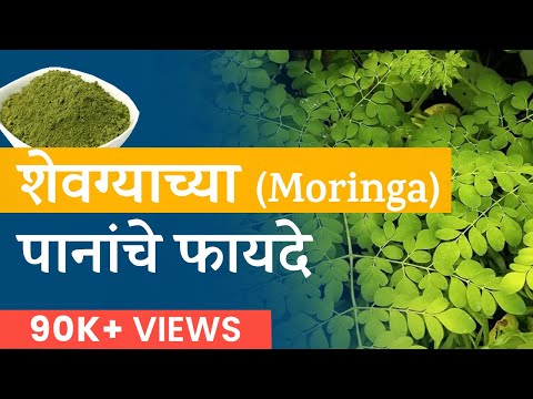 Moringa Benefits | शेवग्याच्या पानांचे (मोरिंगा ) फायदे | by Neha K. | Marathi |