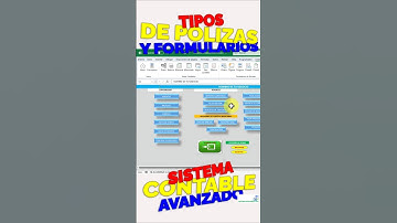Tipos de Formularios que ofrece el Sistema Contable Avanzado en Excel