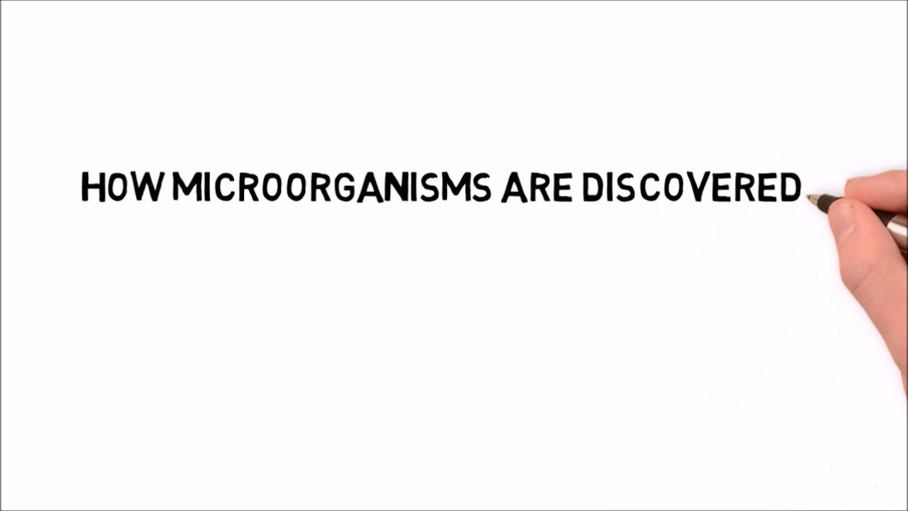 How microorganisms are discovered? what is Spontaneous generation?