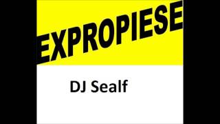 Miniatura del video "Expropiese (DJ Sealf)"