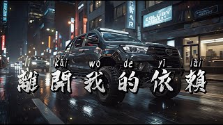 王艳薇 - 离开我的依赖（DJ香菜）
